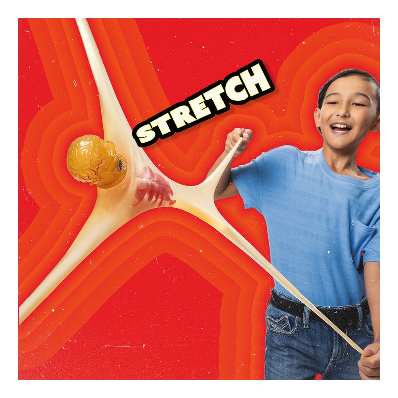 Stretch Armstrong - Collector Ed X-Ray 10" Figure - Image
