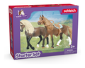 Schleich - Horse Club "Paso Peruano" Starter Set - Image