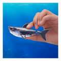 Robo Alive Water Activated S1 Swimming Shark 2 Pack - Image