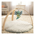 Lamaze Alise the Axolotl, packaging shot