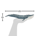 Schleich - Blue Whale - Image