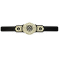 WWE Gold Heavyweight Title - Image