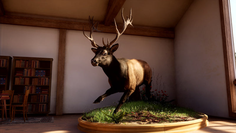 Way of the Hunter 2 - Xbox Series X