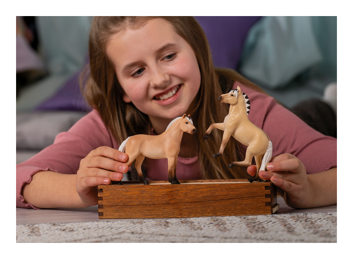 Schleich - Norwegian Fjord Horse Mare - Image