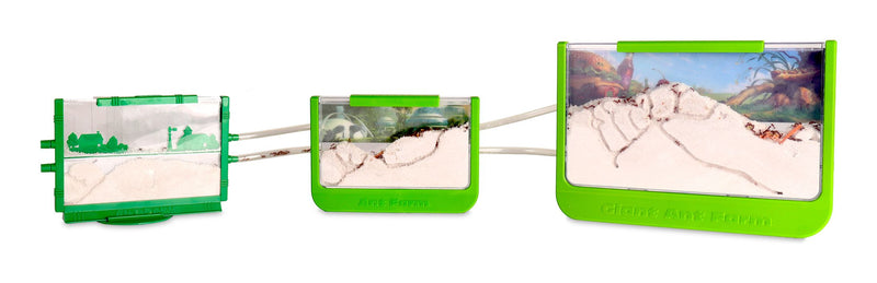 Uncle Milton Giant Ant Farm - Image