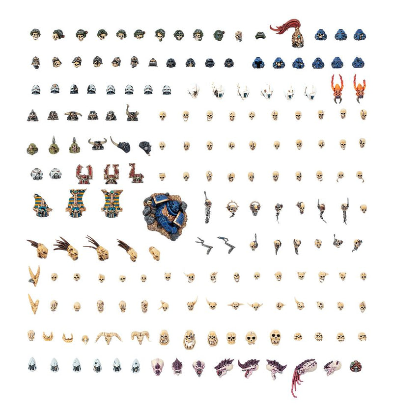 Battlefield Trophies - Warhammer, side angle