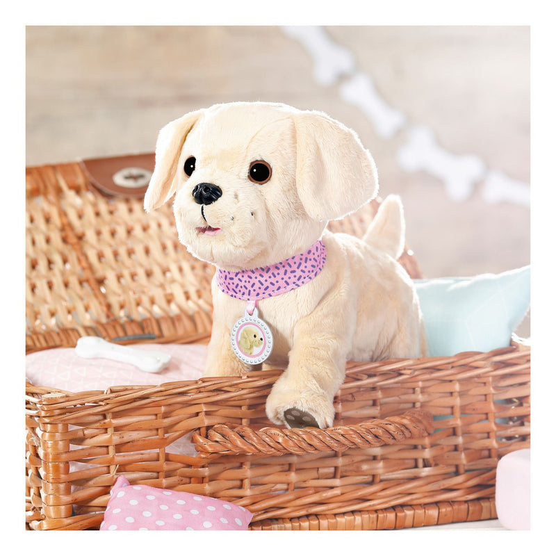 Baby Born My Dog Lucky with Box - Image