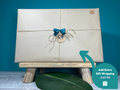 Plant Propagation Gift Set #4, product detail