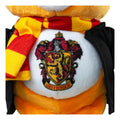 Care Bears - 22cm Harry Potter - Style 1 - Image