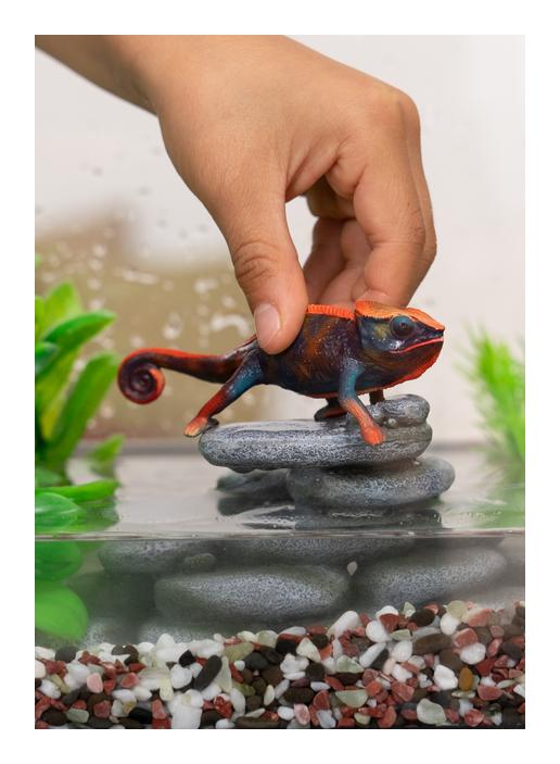 Schleich - Chameleon - Image