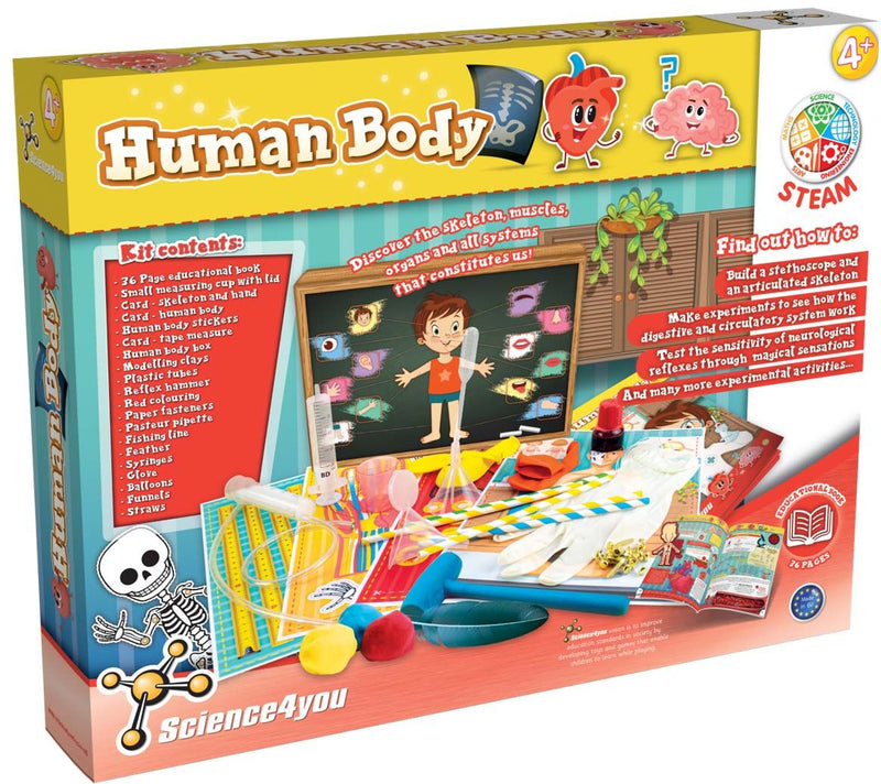 Human Body - Image