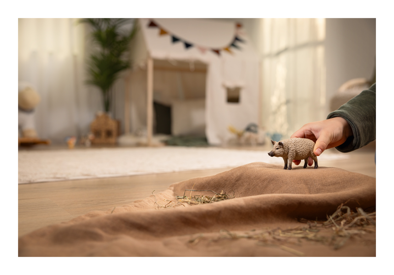 Schleich - Mangalica - Image