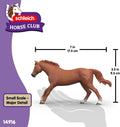 Schleich - English Thoroughbred Stallion
