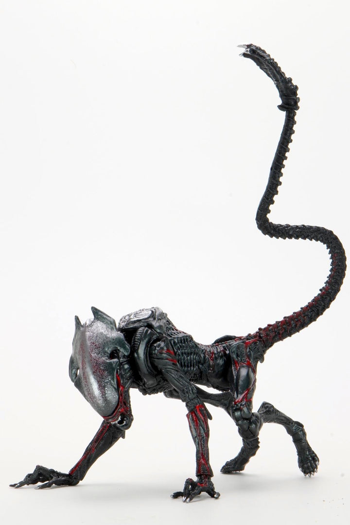 Aliens Night Cougar Alien (Kenner Tribute) 7" Scale Action Figure