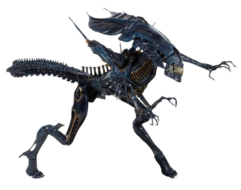 Alien Xenomorph Queen Deluxe Boxed Action Figure - Infinity Collectables  - #tag1#