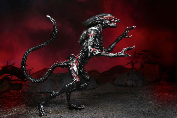 Aliens Night Cougar Alien (Kenner Tribute) 7" Scale Action Figure - Infinity Collectables  - #tag1#