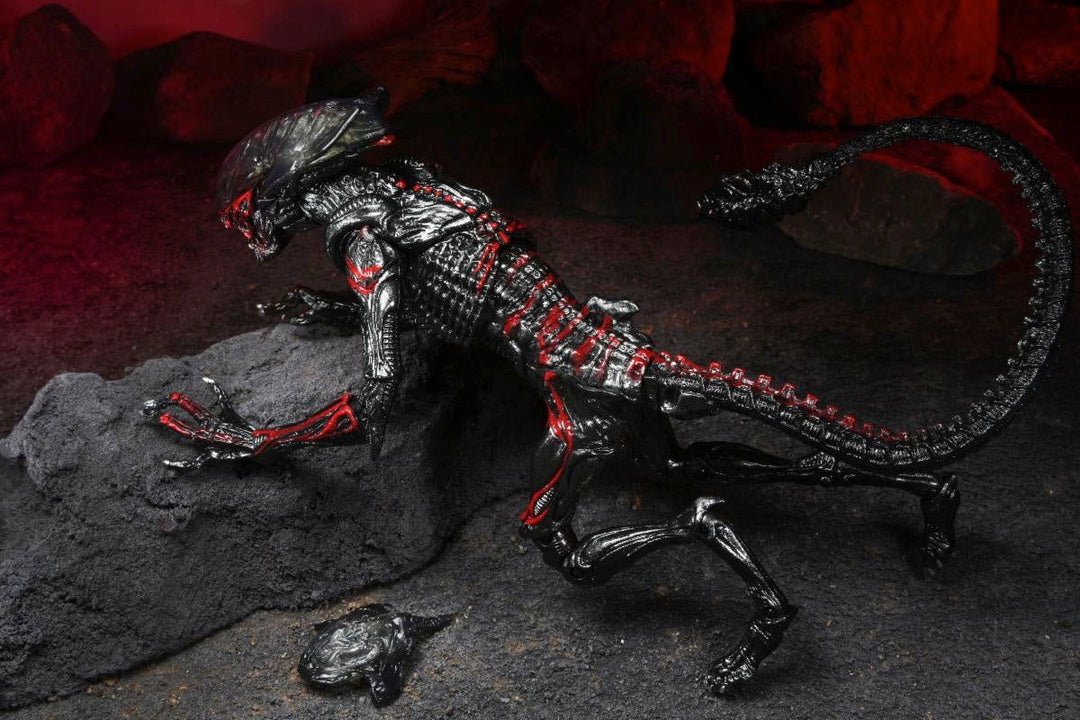 Aliens Night Cougar Alien (Kenner Tribute) 7" Scale Action Figure - Infinity Collectables  - #tag1#