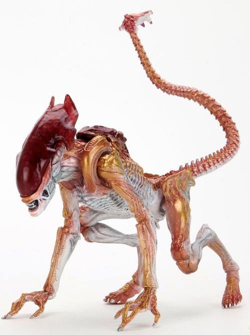 Aliens Panther Alien (Kenner Tribute) 7" Scale Action Figure - Infinity Collectables  - #tag1#