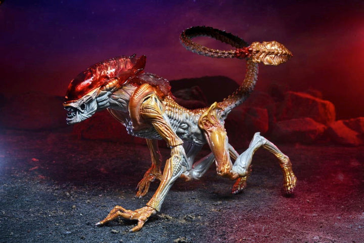 Aliens Panther Alien (Kenner Tribute) 7" Scale Action Figure - Infinity Collectables  - #tag1#