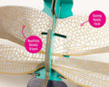 Dragonfly - Build Your Own, in display