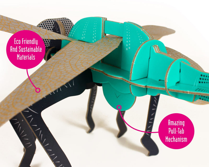 Dragonfly - Build Your Own, packaging shot