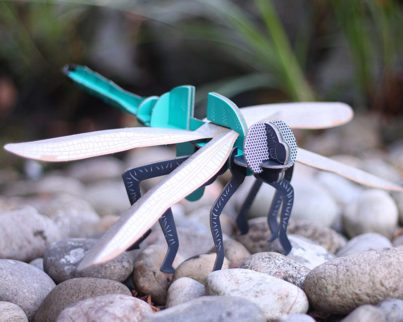 Dragonfly - Build Your Own, close-up detail