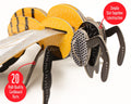 Honey Bee - build Your Own, in display