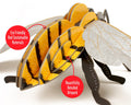 Honey Bee - build Your Own, rear view