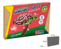 Hawksbill Turtle - Build Your Own, in display