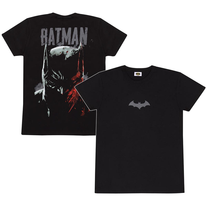 DC The Batman Sinister collectible from Heroes Inc Dropship