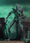 Aliens (1986) Warrior Blue and Brown Ultimate 7" Scale Action Figure Assortment side angle