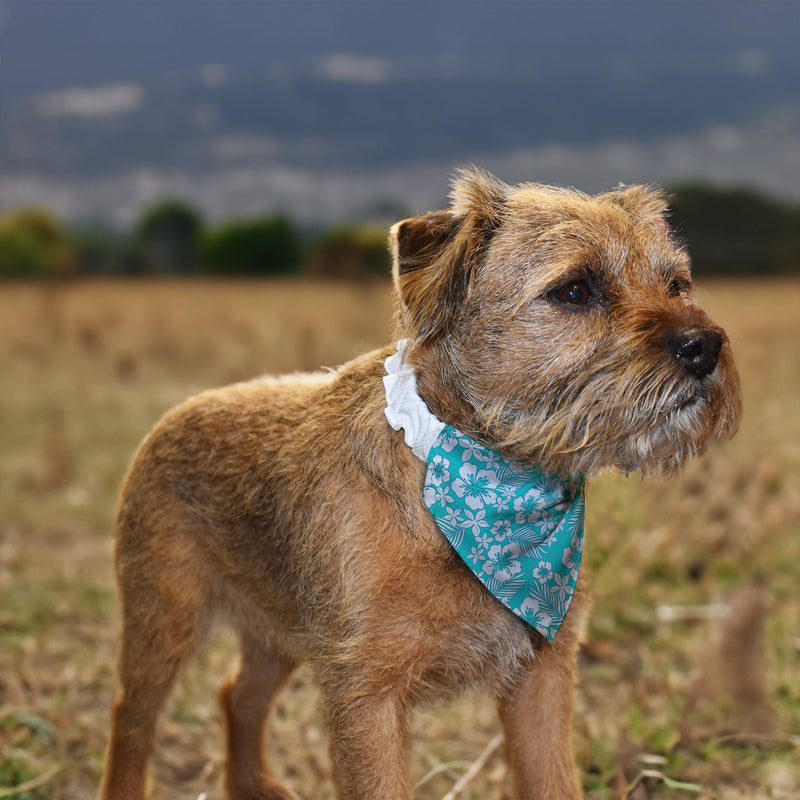 Blue Hibiscus Hawaiian - Dog Bandana - 4 Sizes, side angle
