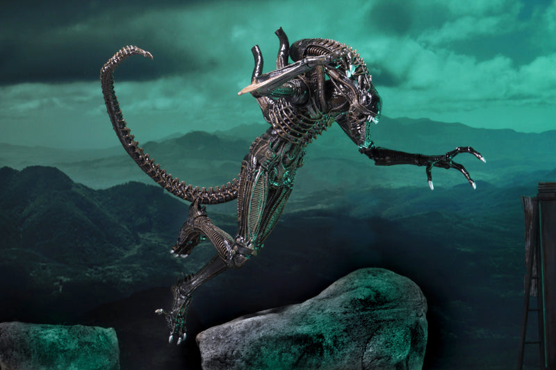 Aliens (1986) Warrior Blue and Brown Ultimate 7" Scale Action Figure Assortment packaging view