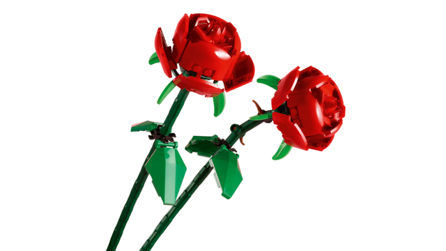 Lego Botanicals 40460 Roses Building Toy Gift for Ages 8 and Up, packaging shot