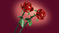 Lego Botanicals 40460 Roses Building Toy Gift for Ages 8 and Up, side angle