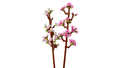 Lego Botanicals 40725 Cherry Blossoms Building Toy Gift for Ages 8+