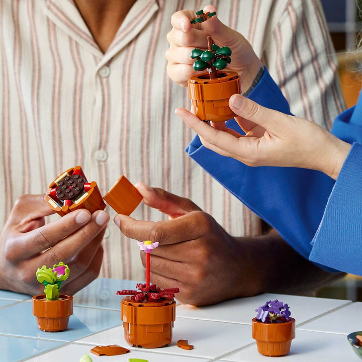 Lego Botanicals 10329 Tiny Plants Building Set