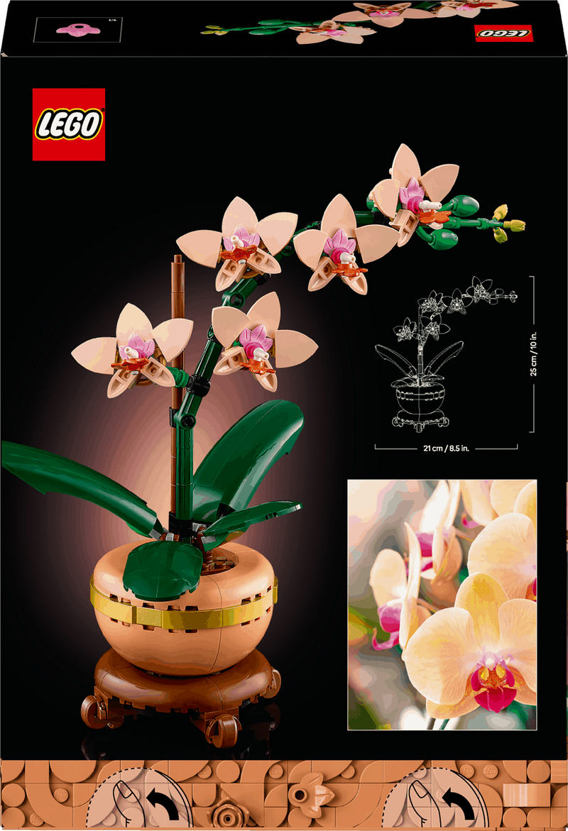 Lego Botanicals 10343 Mini Orchid Building Set for Adults Ages 18 & Up, in display