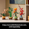 Lego Botanicals 10344 Lucky Bamboo Building Set for Adults Age 18 & Up, in display