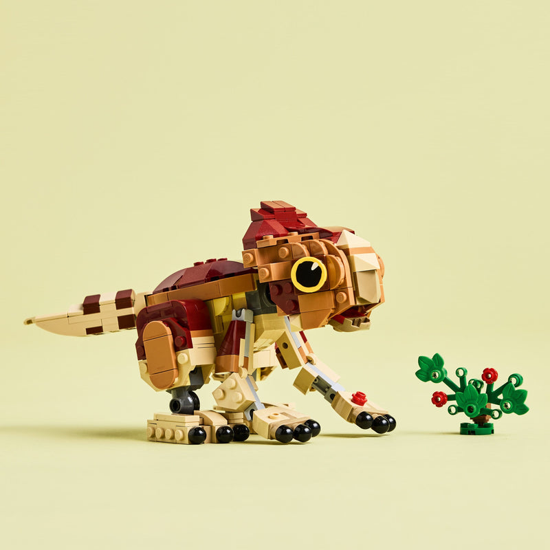 Lego Jurassic World 76970 Baby Dinosaur Dolores: Aquilops for Ages 7+, rear view