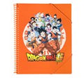 Dragon Ball A4 Presentation Display Book