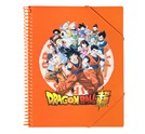 Dragon Ball A4 Presentation Display Book