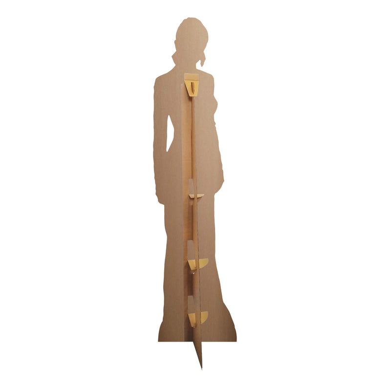 Taylor Swift Crop Top Height 186cm Lifesize Cardboard Cut Out With Mini, packaging shot