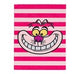 Disney Alice in Wonderland Cheshire Cat Premium A5 Plush Cover Notebook