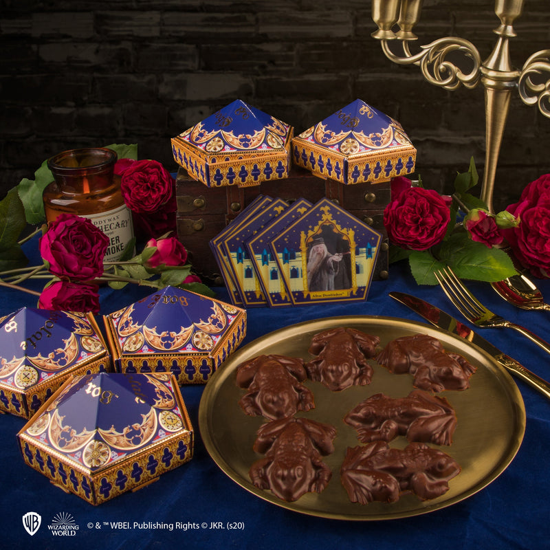 Harry Potter Chocolate Frog Mould with Wizard Cards and DIY Boxes (image 9 of 16)