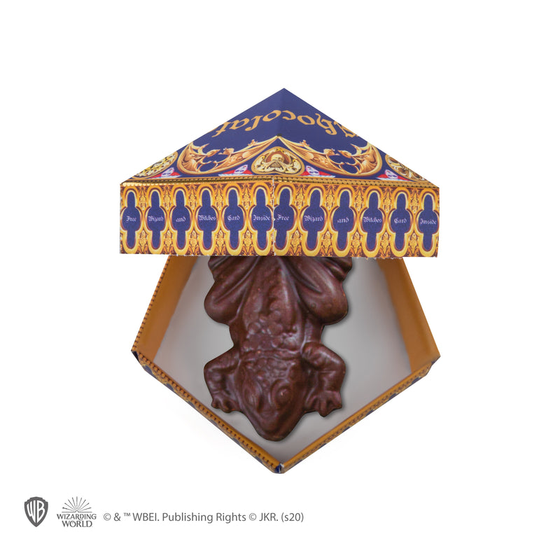 Harry Potter Chocolate Frog Mould with Wizard Cards and DIY Boxes (image 12 of 16)