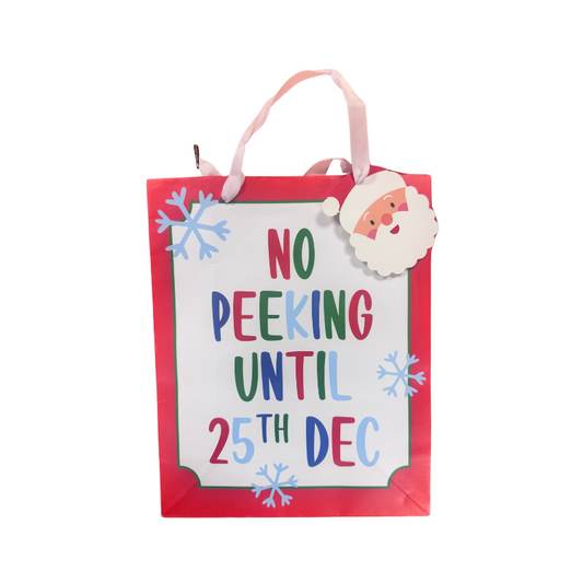 Christmas Santa Gift Bag collectible from PoundFun