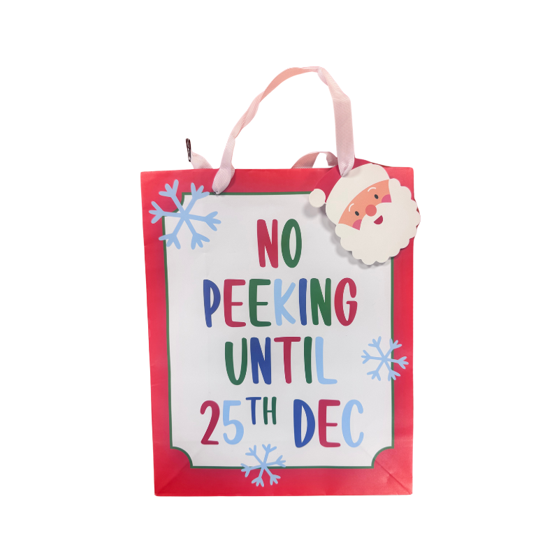 Christmas Santa Gift Bag collectible from PoundFun