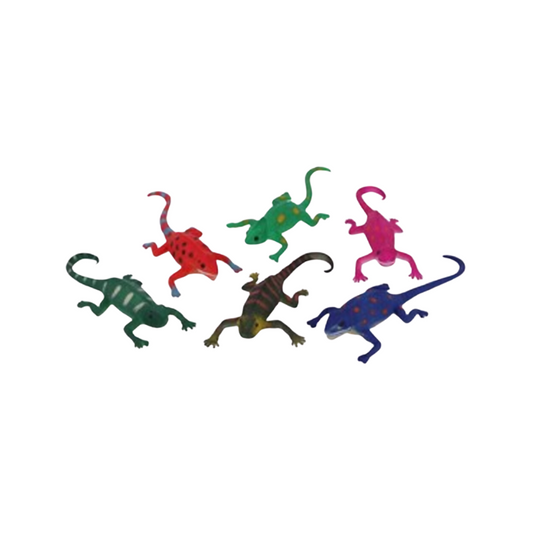Colour Changing Lizard, alternate view