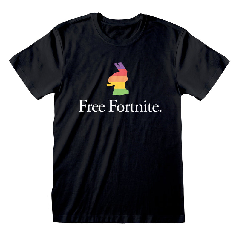 Fortnite - Free Fortnite collectible from Heroes Inc Dropship